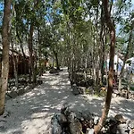 Bayou